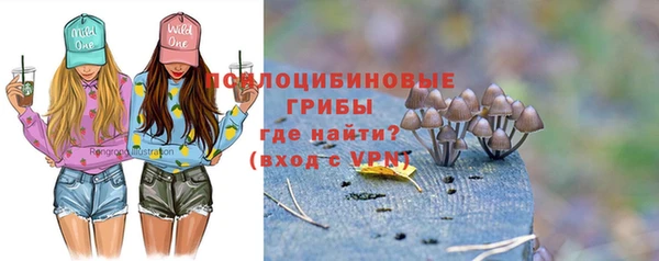 СК Козельск