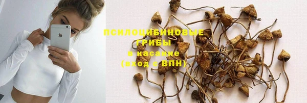 mdpv Козловка