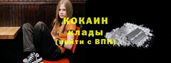 mdpv Козловка