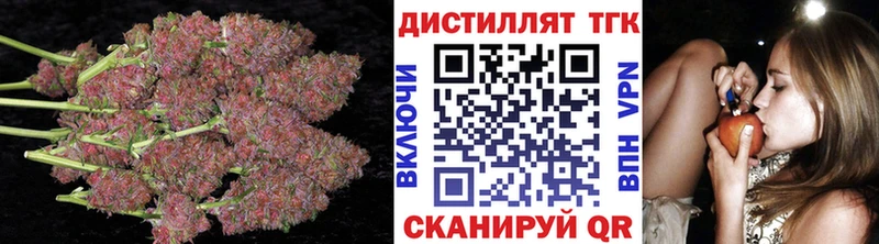 Купить закладки  Курганинск  ТГК жижа 