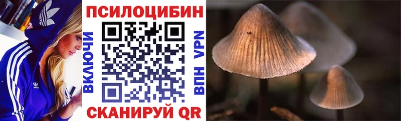 Псилоцибиновые грибы MAGIC MUSHROOMS  Купить закладки  Курганинск 